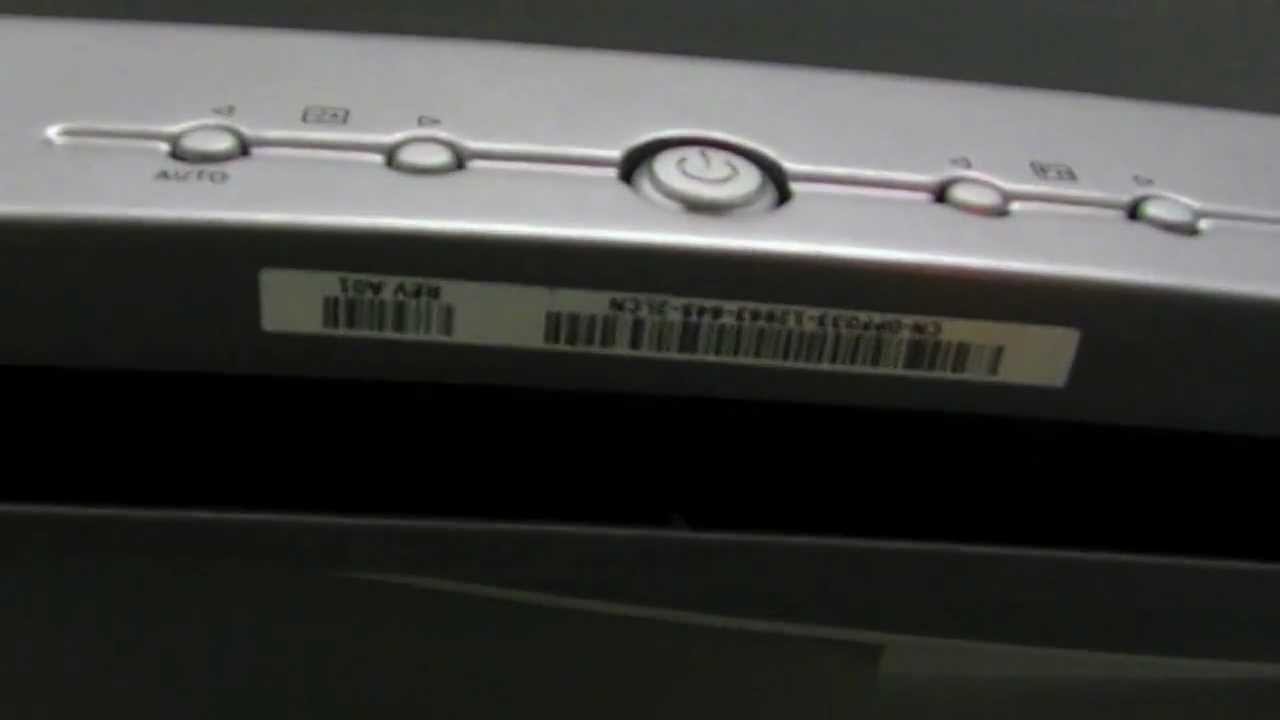 flagimation serial number